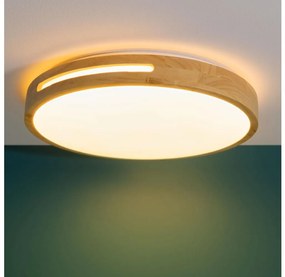 Brilliant - LED Stmievateľné stropné svietidlo WOODBURY LED/24W/230V pr. 39 cm