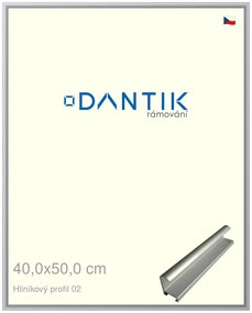 DANTIK rám na obraz 40x50 | ALU Stříbrná matná (Sklo Čiré)