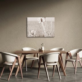 Obraz - Bodliak v zime (70x50 cm)