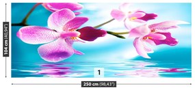 Fototapeta Vliesová Voda orchidea 152x104 cm