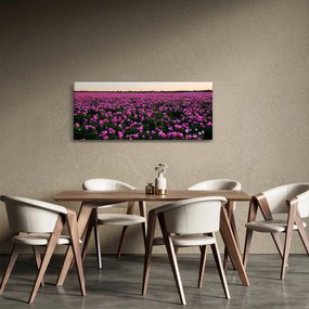 Obraz - Lúka fialových tulipánov (120x50 cm)