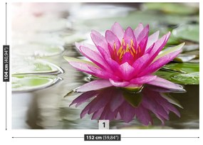 Fototapeta Vliesová Ružový lotos 152x104 cm