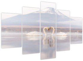Obraz - Zamilované labute (150x105 cm)