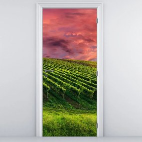 Fototapeta na dvere - Vinohrad s farebným nebom (95x205cm)