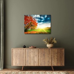 Obraz krajiny zaliate slnečným svitom (70x50 cm)
