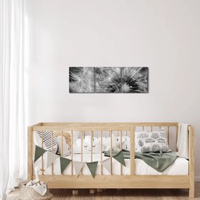 Obraz - páperie púpav (s hodinami) (90x30 cm)