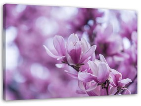 Gario Obraz na plátne Kvety magnólie Rozmery: 60 x 40 cm