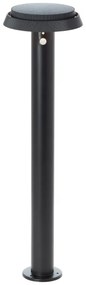 Brilliant - LED Solárna lampa so senzorom ALVERO LED/4W/3,7V 70 cm IP44 čierna