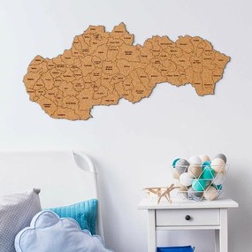 DUBLEZ | Korková mapa okresov Slovenska | Obraz