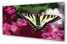 Obraz na plátne kvety motýľ 120x60 cm