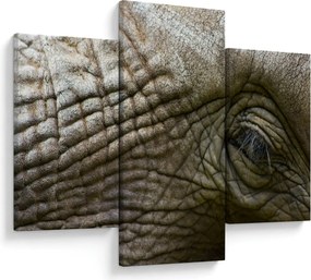Obraz - Detailné fotografie starého slonieho oka (90x60 cm)
