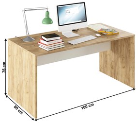 Kondela Písací stôl, dub artisan/biela, RIOMA TYP 16
