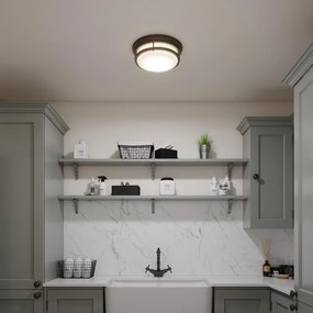 Hinkley HK-HADLEY-F-OZ-Kúpeľňové stropné svietidlo HADLEY 3xE27/40W/230V IP44 bronz