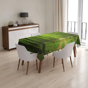 Sablio Obrus Cesta v lese - 130x130 cm