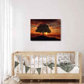 Sklenený obraz stromu pri západe slnka (70x50 cm)