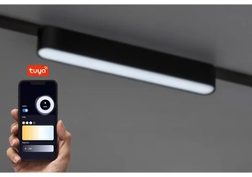 Rabalux 70123-LED Stm. str. svieti. do 1-fáz. lišt. sys. LiTrack 12W/24V 22 cm