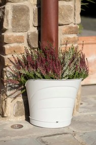 BAMA Kvetináč TULIPANO, set 4ks, biela