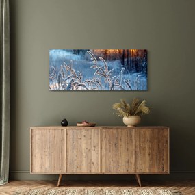 Obraz - Zimná lúka (120x50 cm)