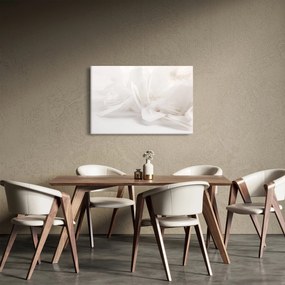 Obraz - Perie (90x60 cm)