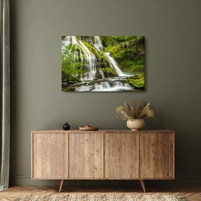 Obraz - Vodopád, Wind River Valley (90x60 cm)