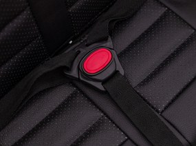 Ramiz Elektrické autíčko Toyota FJ Cruiser čierne terénne + ovládač