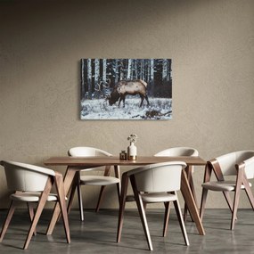 Obraz - jeleň v zime (90x60 cm)