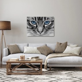 Sklenený obraz mačiatka (70x50 cm)