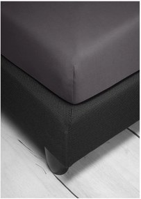 Bierbaum jersey plachta stein - kamenná sivá - 140-160 x 200 cm