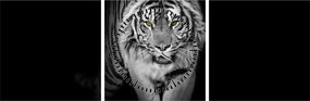 Obraz - Tiger so žltými očami (s hodinami) (90x30 cm)