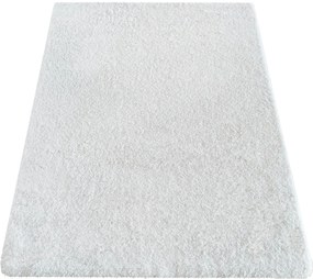 DY Biely protišmykový shaggy koberec Camel Rozmer: 80x150 cm