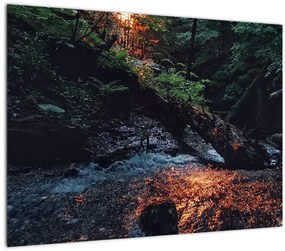 Sklenený obraz horskej riečky (70x50 cm)