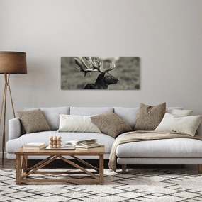 Obraz - Jeleň (120x50 cm)