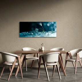 Obraz - Makro (120x50 cm)