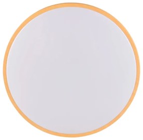 LED Stropné svietidlo WOODY LED/24W/230V pr. 38 cm