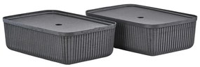 Košíky v súprave 2 ks 48x32x20.5 cm Pulp – Zone