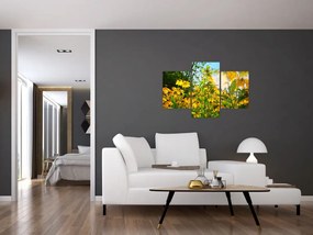 Obraz žltých kvetov (90x60 cm)