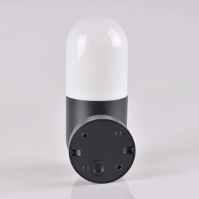 Vonkajšie nástenné svietidlo HORTEN 1xE27/10W/230V IP44