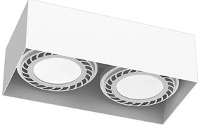 Brosline 1270 - Bodové svietidlo CAGE 2xGU10/18W/230V biela