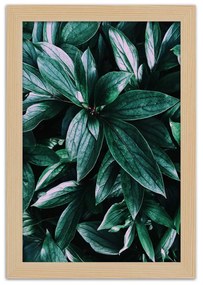 Gario Plagát Fascinujúce listy Farba rámu: Bez rámu, Rozmery: 20 x 30 cm