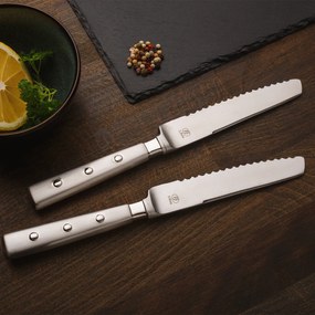 Steakové nože v magnetickom boxe set 6 ks – Bistro - 118758