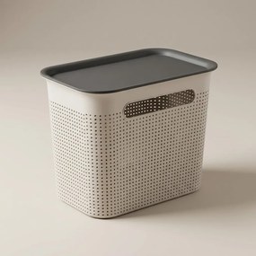 Rotho Úložný box s vekom a s držadlami BRISEN 7l, 26x18x21cm, biely