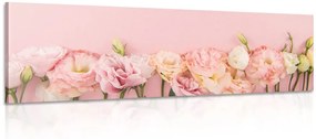 Obraz pastelové kvitnúce kvety Varianta: 120x40