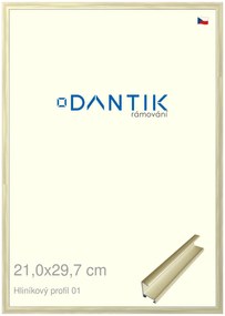 DANTIK rám na obraz 21x29,7 | ALU zlatá lesklá alternativa (Sklo Čiré)