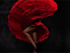 Fototapeta - Flamencová tanečnica 350x270 + zadarmo lepidlo