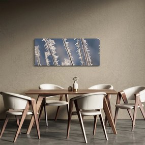 Obraz - Mrazík (120x50 cm)