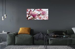 Sklenený obraz magnólia strom 140x70 cm