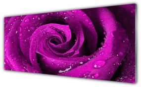 Obraz na akrylátovom skle Ruže kvet rastlina 125x50 cm