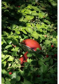 Červená LED stmievateľná stolová lampa (výška 20 cm) Mush – Hübsch