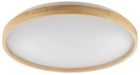 Brilliant - LED stmievateľné stropné svietidlo ALSON LED/21W/230V béžové + DO