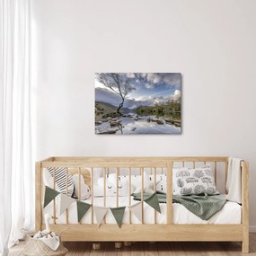 Obraz rieky za stromom (70x50 cm)